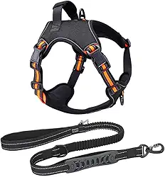 Coleira Peitoral Antipuxão Cachorro Power MADOG + Guia Elástica com Cinto de Segurança (Laranja, G)