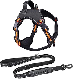 Coleira Peitoral Antipuxão Cachorro Power MADOG + Guia Elástica com Cinto de Segurança (Laranja, G) - Produto 5 mais recomendado com 4.7 estrelas