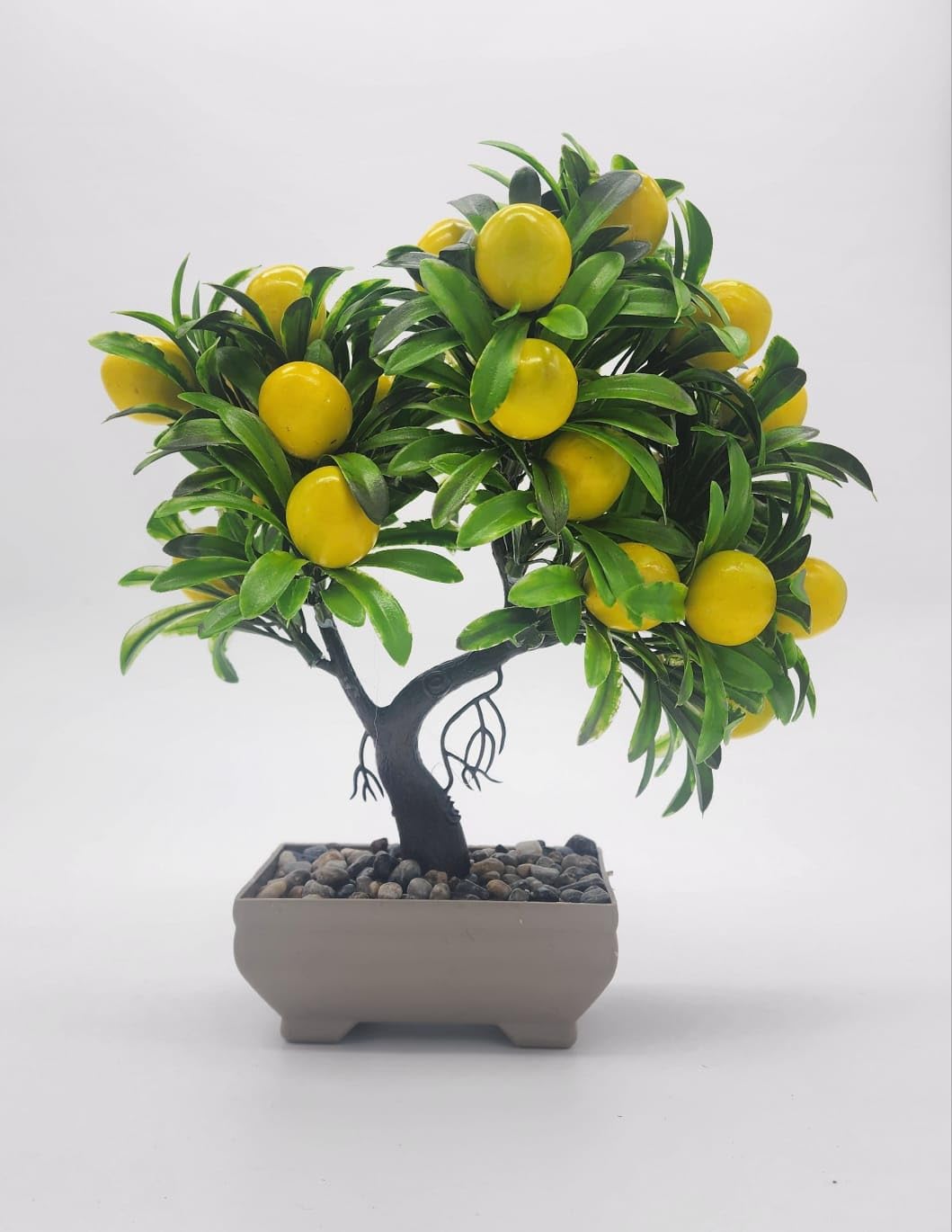 Decorative Plants, Miniature Lemon Tree, Cute Design, Made in Turkey