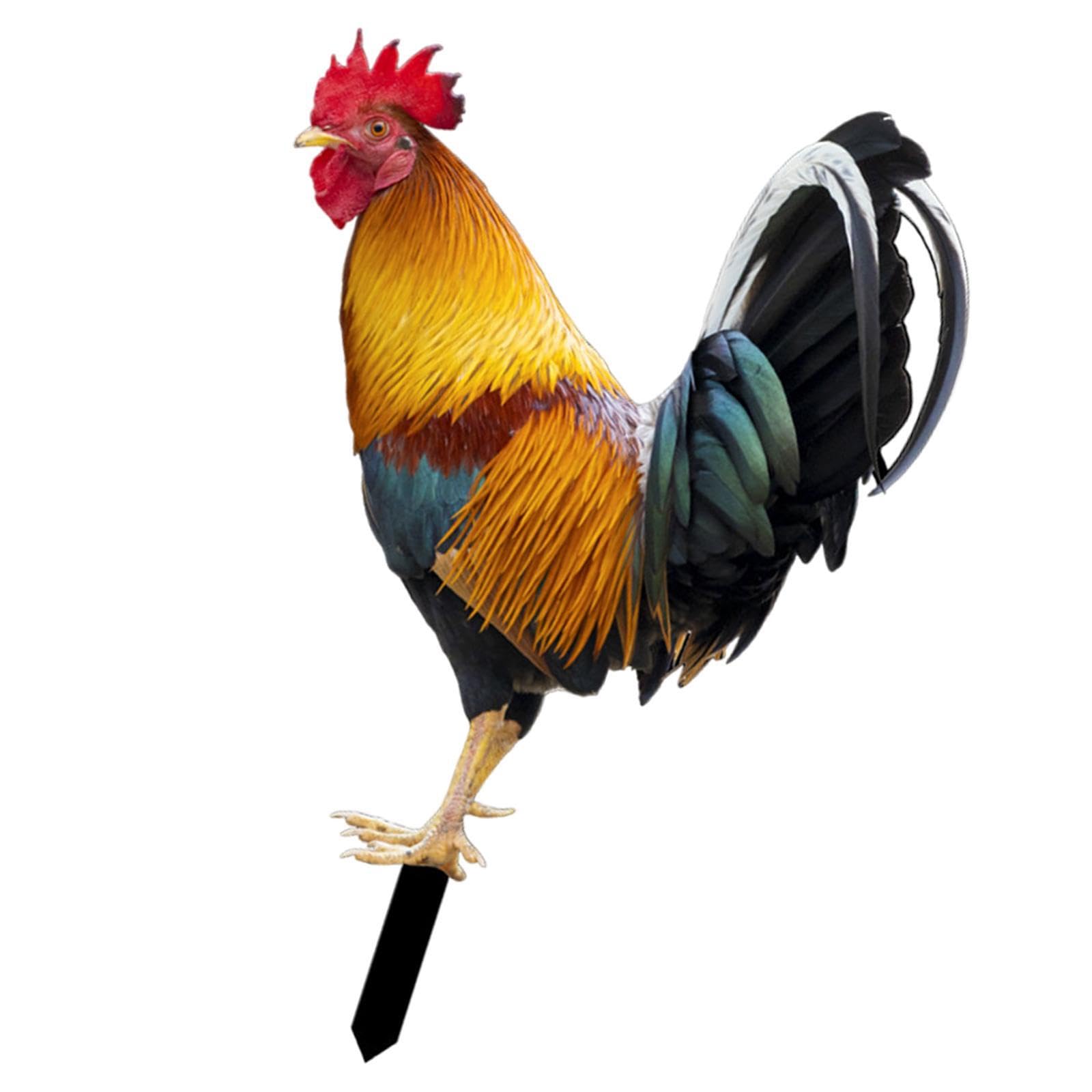 Zambuph Wide Application Chicken Yard Statues Beautiful Accents For Gardens Backyards And Elegant Pathways Very Convenient To Decorative Garden Statues, Style B