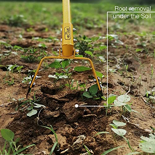 Image of HECTARE Agriculture Hand Weeder - 5 Foot Pole, 8 inch Blade for Efficient Weed Control - Manual Weed Remover Tool, Self-Sharpening Steel, Ideal for Small Weeds
