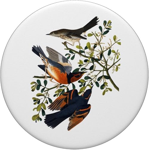 Miniatura 3 de PopSockets PopGrip estándar de pájaro tordo de montaña Mockingbird