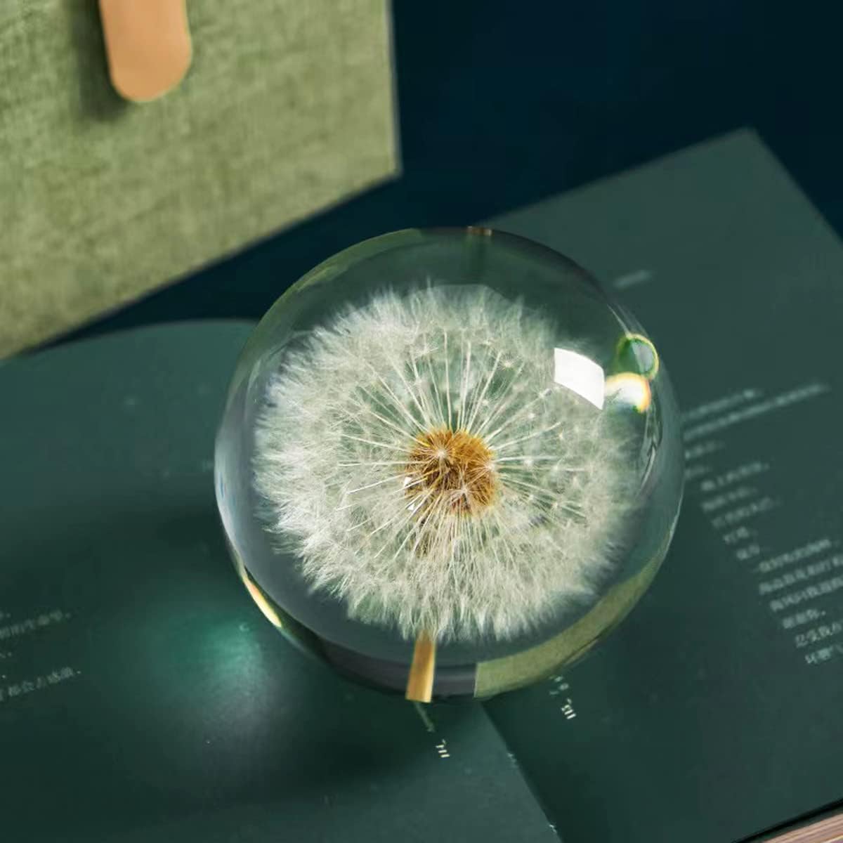 DESHINTKE Real Dandelion Specimen Ball Paperweight Desktop Decor Decoration (Large)