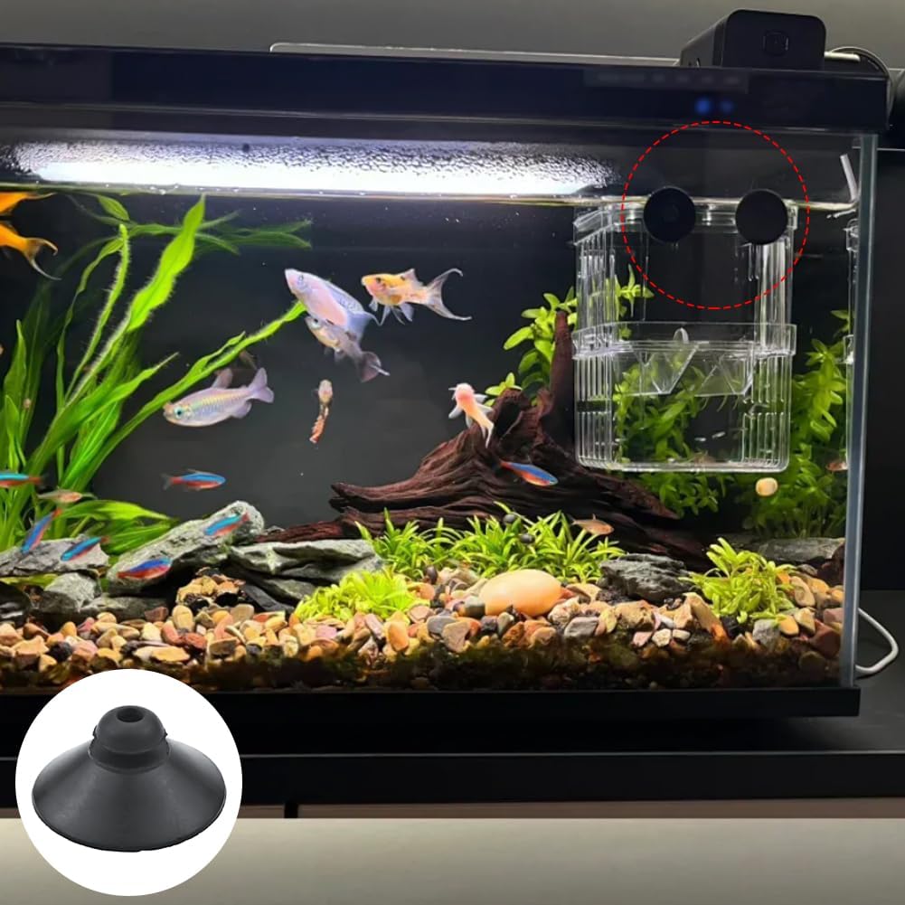 Qusmeiyici 24PCS Fish Tank Suction Cup Clips, Black Sucker Clips, Fish Tank Accessories, for Tank Pump Overhead Line Tube - Image 3