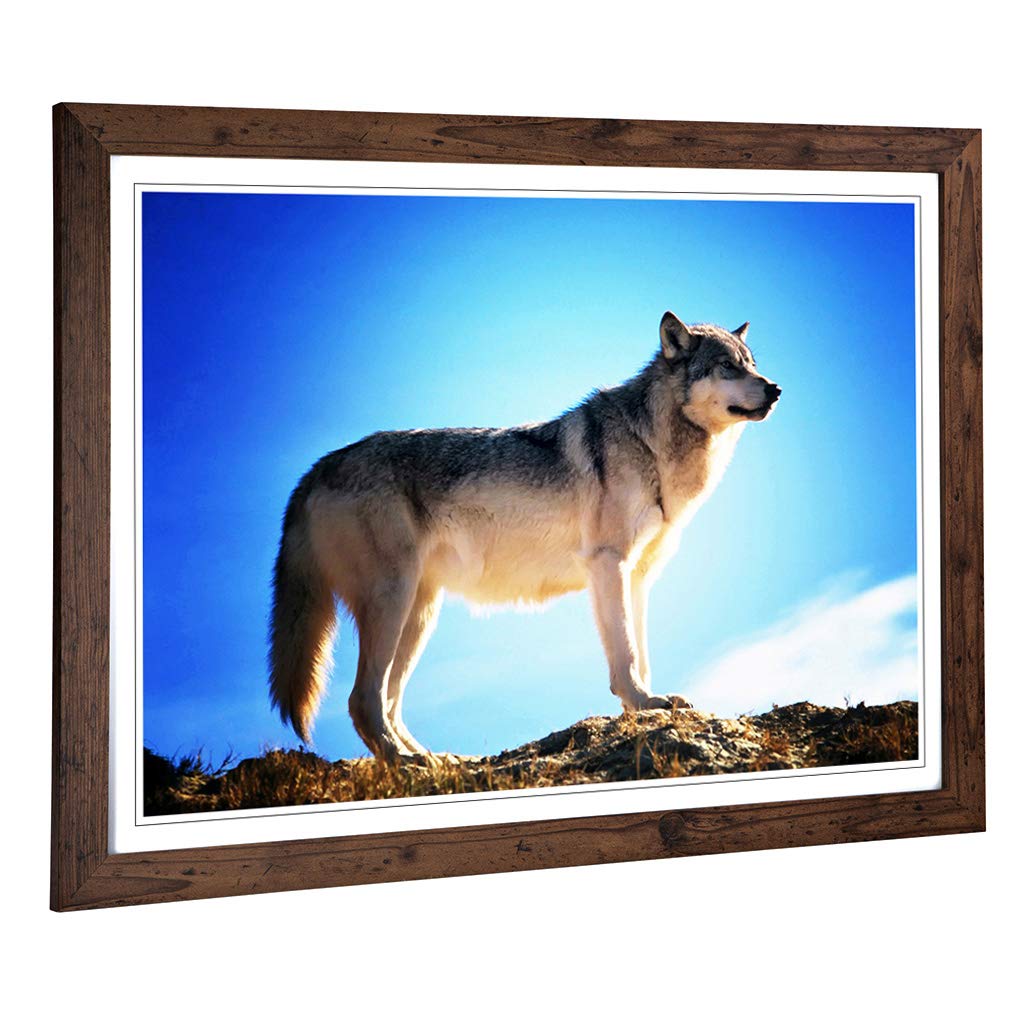 Big Box Art Framed Print of Wolf Design | Wall Art Picture | Home Decor for Kitchen, Living, Dining Room, Lounge, Bedroom, Hallway, Office, Walnut, A2 / 24.5x18 Inch / 62x45cm