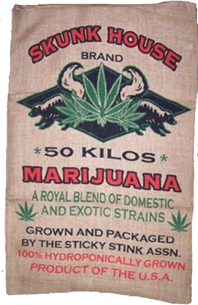 Skunk House Large Storage or Wall Hanging Novelty Burlap