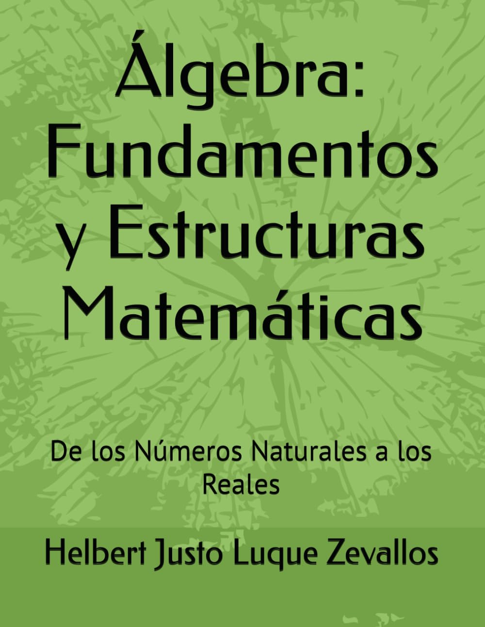 Álgebra: Fundamentos y Estructuras Matemáticas: De los Números Naturales a los Reales (Licenciatura de Matematicas)