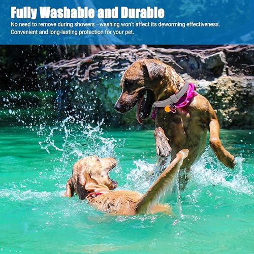 2er Set Hundehalsbänder, Wasserdicht und Verstellbar, 63cm lang, Mit Natürlichen Ätherischen Ölen, Bietet Komfort und Schutz, Geeignet für Hunde ab 7 Wochen
