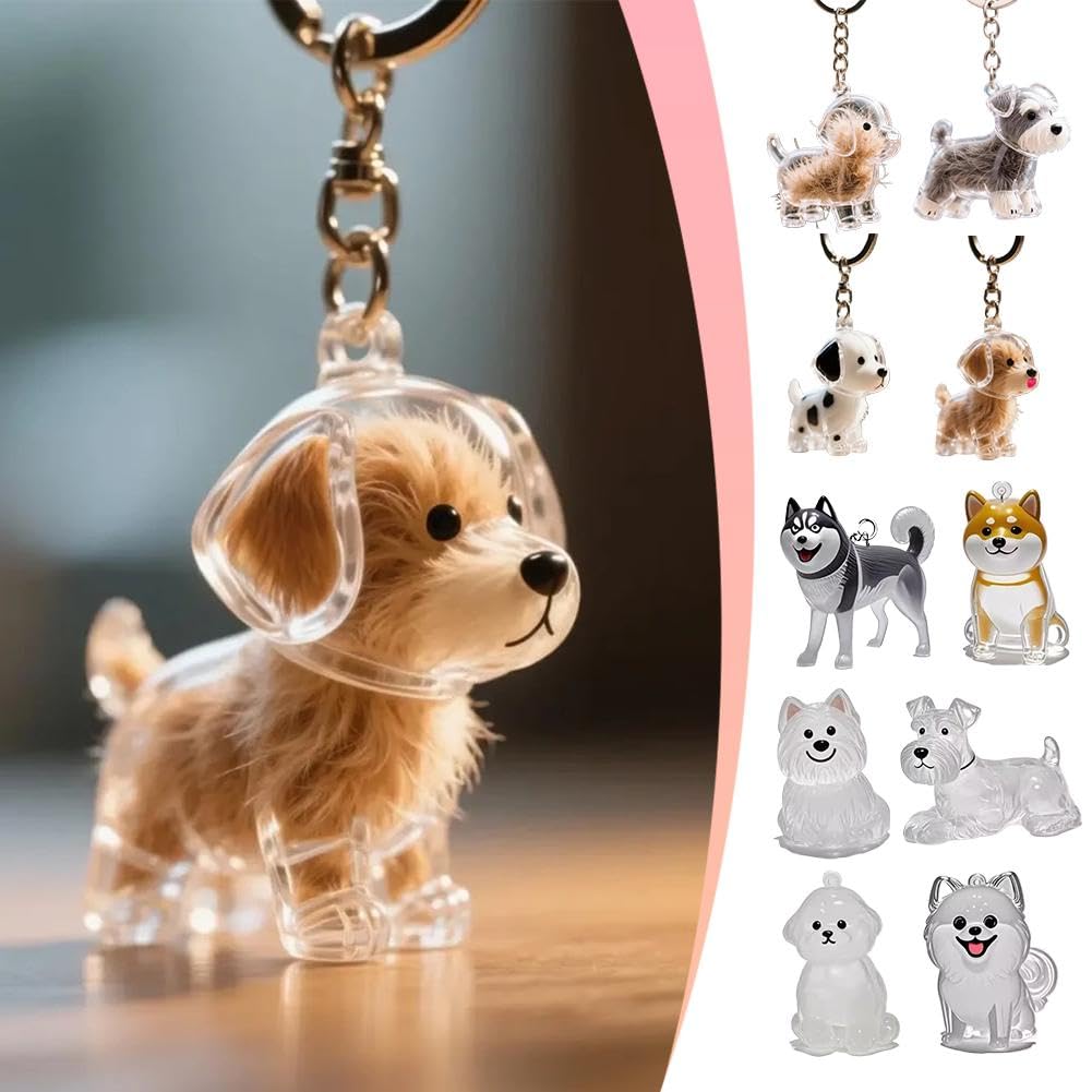 Porte-clés Souvenir Transparent Pour Poils D'animaux - Acrylique 7x5x3 Cm - Breloque Mémoire Pour Sac, Valise, Rétroviseur