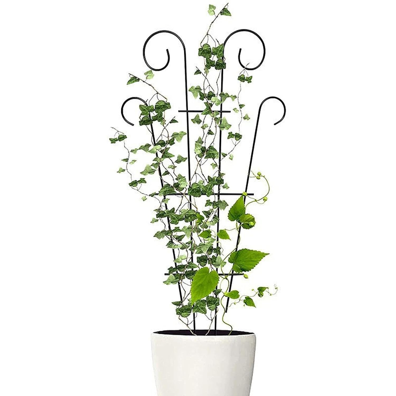 Metal Climber Plant Support Stand | Garden Trellis for Indoor & Outdoor Plants | Decorative Plant Support for Balcony, Home, Office & Living Room Décor -Black (Large - 2PCS)-image-38
