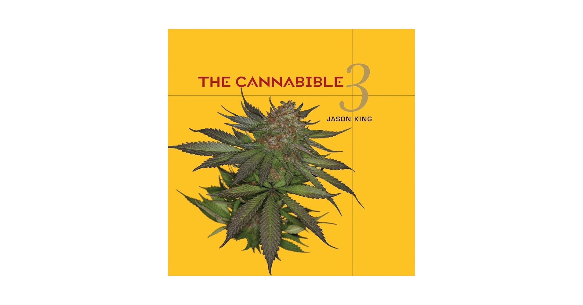 The Cannabible 3: King, Jason: 9781580087841: Amazon.com: Books