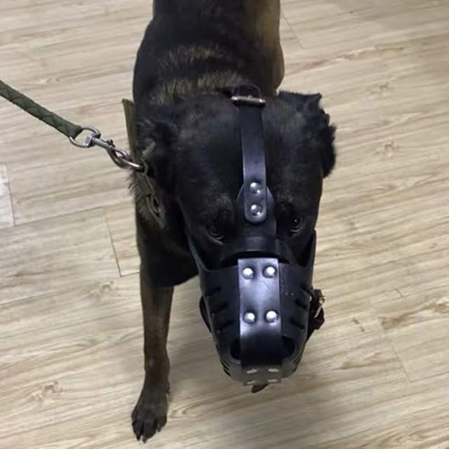 Foto 3 de 8 de Bozal Para Perros De Cuero Genuino