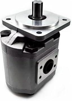 Hydraulic Gear Pump CBG2050 Loading Truck Pumps CBG2050-BFP CBG2050-BFPL CBG2050-BFH CBG2050-BFHL CBG2050-BFX CBG ForkliftCBG2050-BFP
