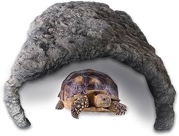 Amazon | Archnote 爬虫類 リクガメ シェルター 大型 亀 ロック Amazon | Archnote 爬虫類 リクガメ シェルター 大型 亀 ロック