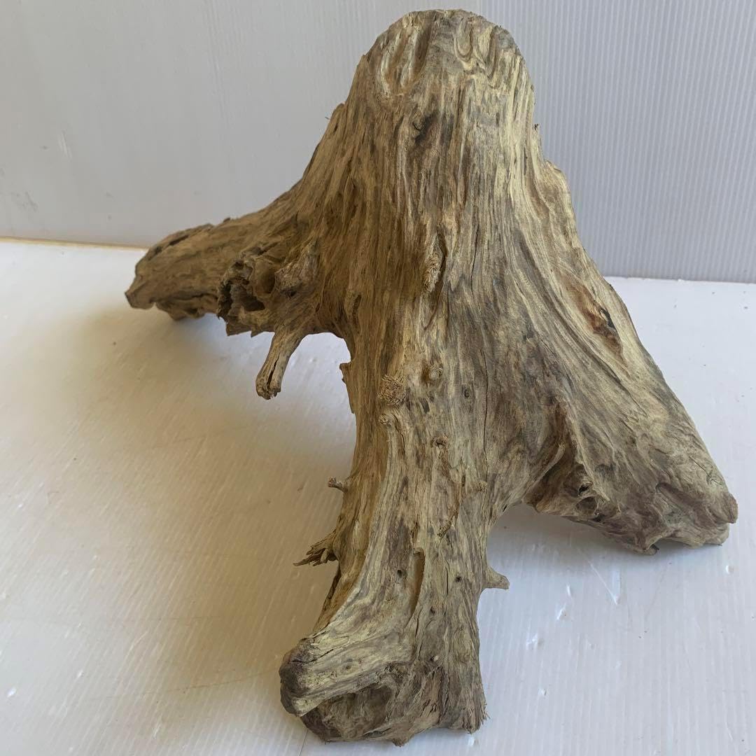 アク抜き済み 流木（水槽用流木）｜レイアウト用品｜熱帯魚