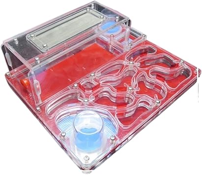 Ant Habitat Learning Acrylic Ant Castle DIY Twin Water Towers Ant Nest Farm Eco Workshop ScienceRed