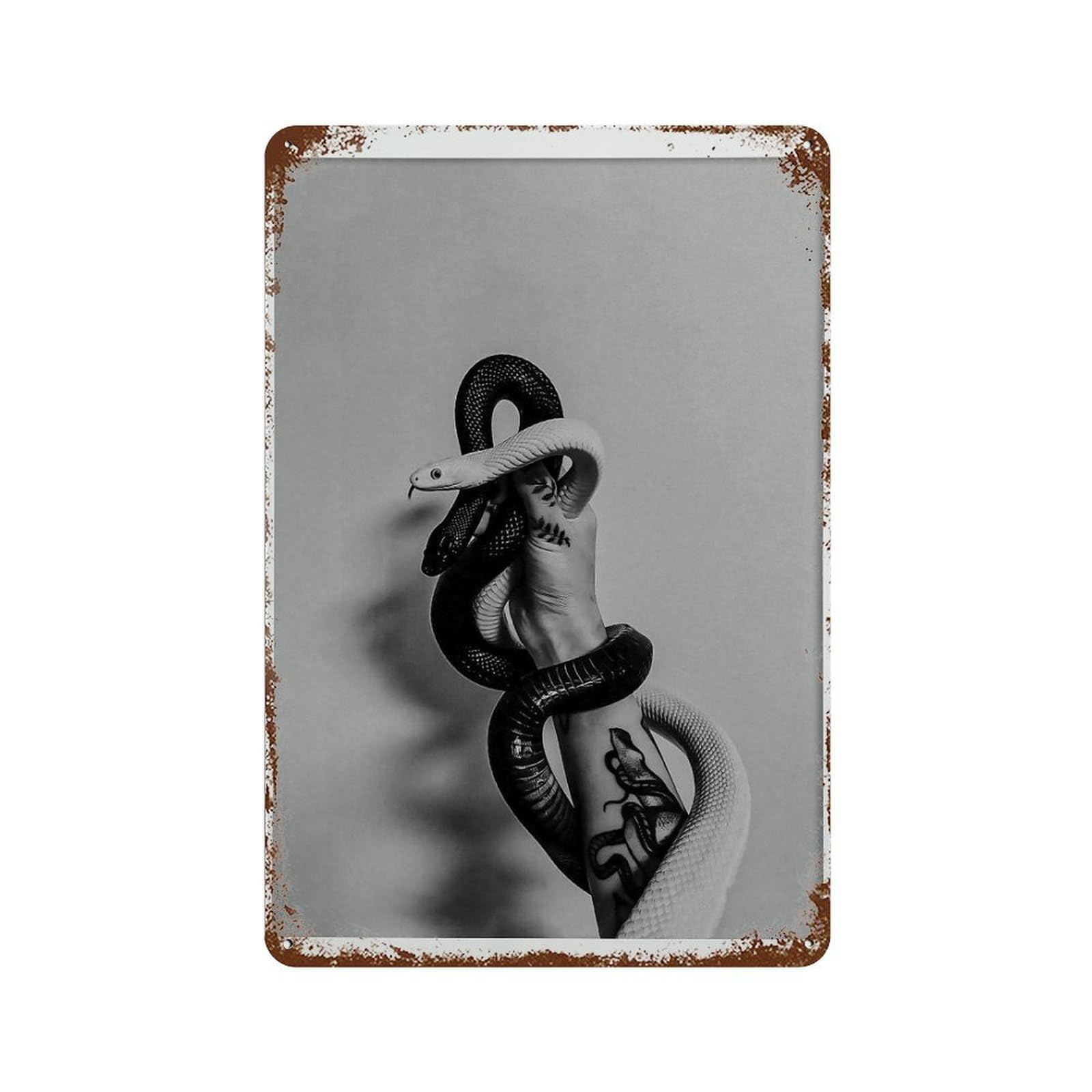 xiaoxiaoshen Black And White Snake Fashion Wall Decor Art Metal Tin Poster Modern Home Decor Art Home Bar Shop Decorations Vintage Sign 30x20cm