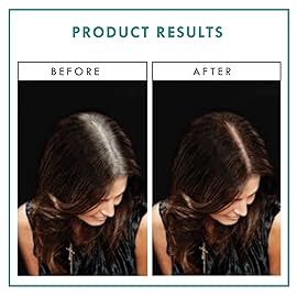 Rita Hazan Root Concealer Touch Up Spray - Instant Spray To Cover Up Roots - Quick Drying, Water-Resistant Formula - Temporary Hair Color Spray for Gray Roots - 2 oz. Root Spray