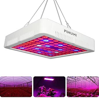 LED Horticole Lampe,Lampe pour Plante 600W Spectre Complet,Avec un Crochet de Suspension pour la Culture de Plantes Hydroponiques de Légumes et de Fleurs