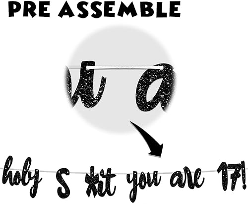 Miniatura 2 de Holy S*ht You are 17! - Telón de fondo con purpurina negra Hello 17 Cheers to 17 años de edad, decoraciones temáticas para niños y niñas, fiesta de