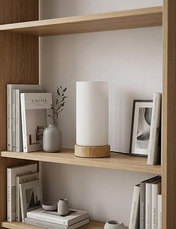 Bedside Lamps, Small Touch Glass Shade Dimmable Table Lamp for Bedroom [Energy Class F]