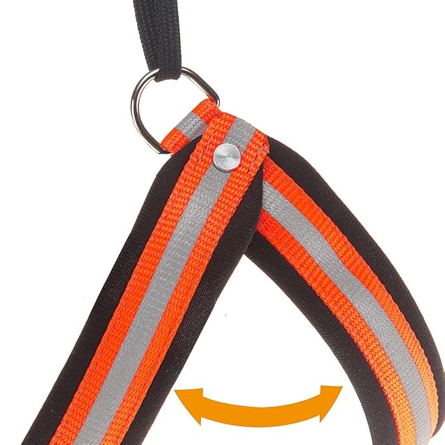 Foto 5 de 6 de Ferplast Arnés Perro, Mediano AGILA Reflex 1 Arnés para Perros de Suave Acolchado