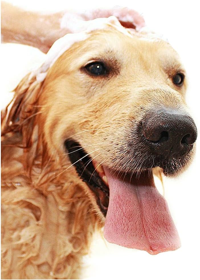 Pet Bathing Shower Sprayer Massage Scrubber in-One Carry, Adjustable Handheld Grooming Shower Head Brush for Bath Tub & Outdoor Garden Use with 2 Hose Faucet Adapter, Blue