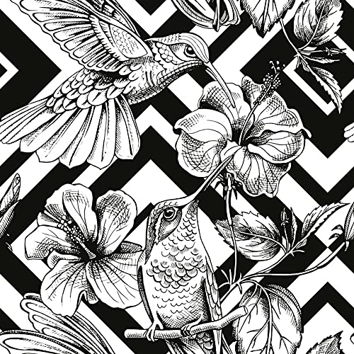 Papier peint colibris rénovation sans colle pour masquer imperfections murs démodés - 3