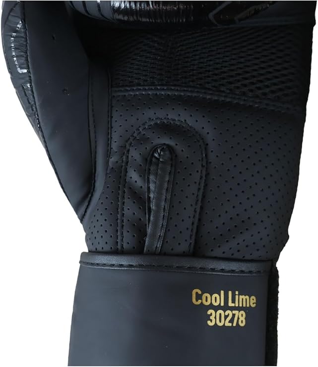 Dragon Do 30213 L Cool Lime Iı Hakiki Deri Boks Eldiveni Muay Thai Siyah 14 Oz