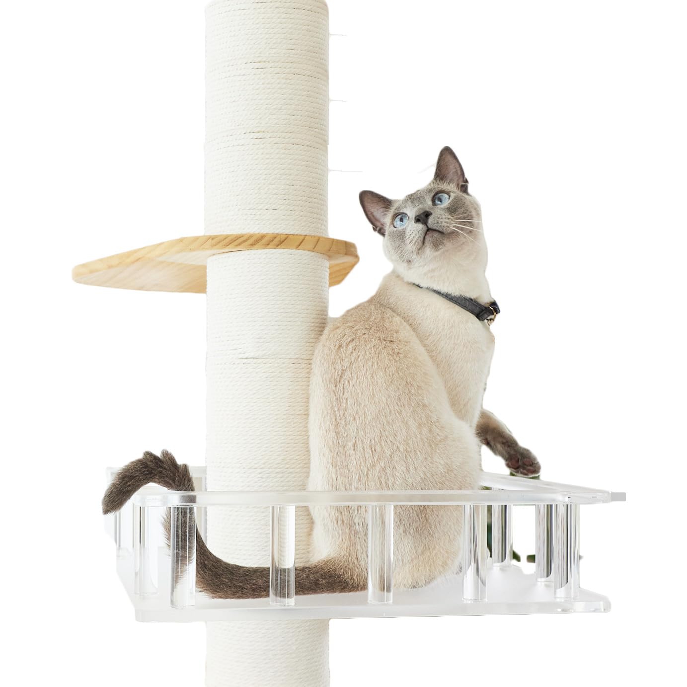 Sumikaロミャオ フレンチバルコニーのみ キャットタワー ラージサイズ Amazon | [SUMIKAフレンチバルコニーRomyaoロミャオ ウッドM