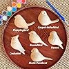 Hand Carved Wooden Birds Figurines Natrual Birds with Painting Tools, Creative Unique Bird Statue for Bird Lovers, Kids, familys (Cockatiel) #1