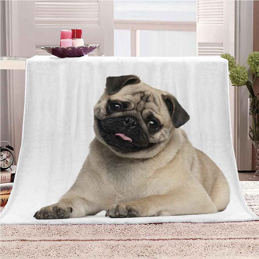 Couverture flanelle chien canapé lit protection contre poils et griffures 150x200