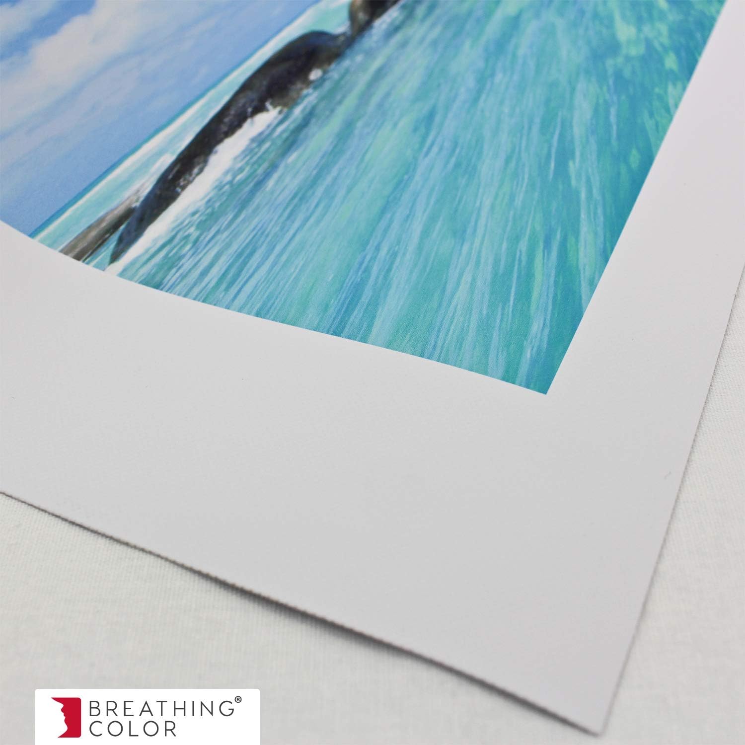 Breathing Color Insignia Scrim Vinyl - Affordable Matte Vinyl for Aqueous Inkjet Printers - Eye Popping Colors, High Definition Printing - 17"x10' (1 Sheet)