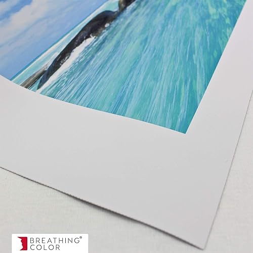 Miniatura 8 de Insignia Scrim vinilo  asequible vinilo mate para impresoras acuosas de inyección de tinta, colores llamativos cuando se imprime en vinilo de alta