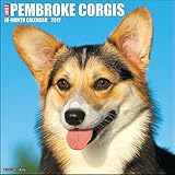 Just Pembroke Corgis 2017 Wall Calendar (Dog Breed Calendars)