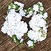 FLOFARE Pack of 3 Floral Foam Blocks Each (5.5