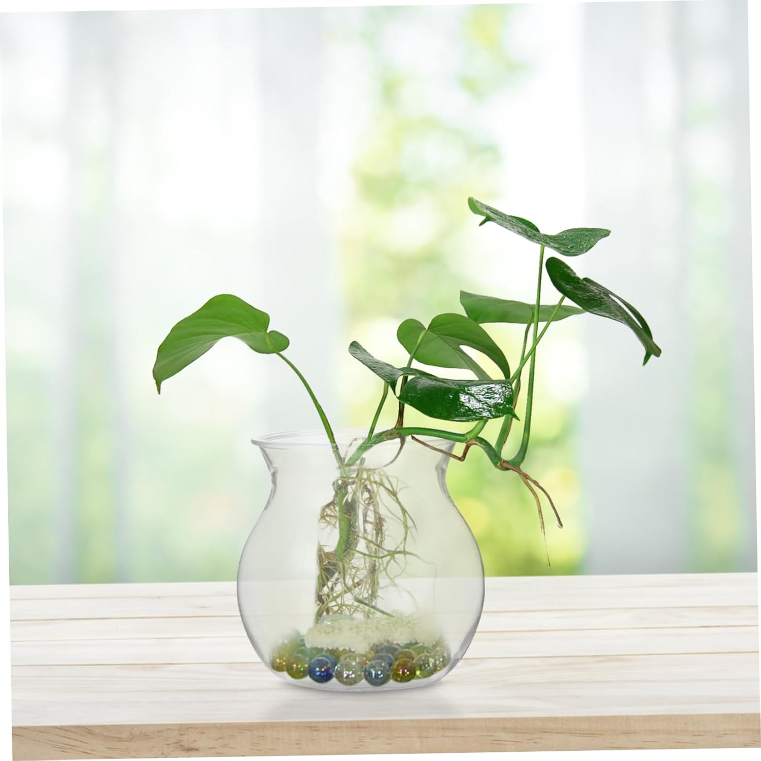 VICASKY 10pcs Transparent DIY Succulent Planter Bottles for Desktop Plant Holder Unbreakable Vessel for Succulent Cultivation and Miniature Landscaping Easy Plant Growth Monitoring