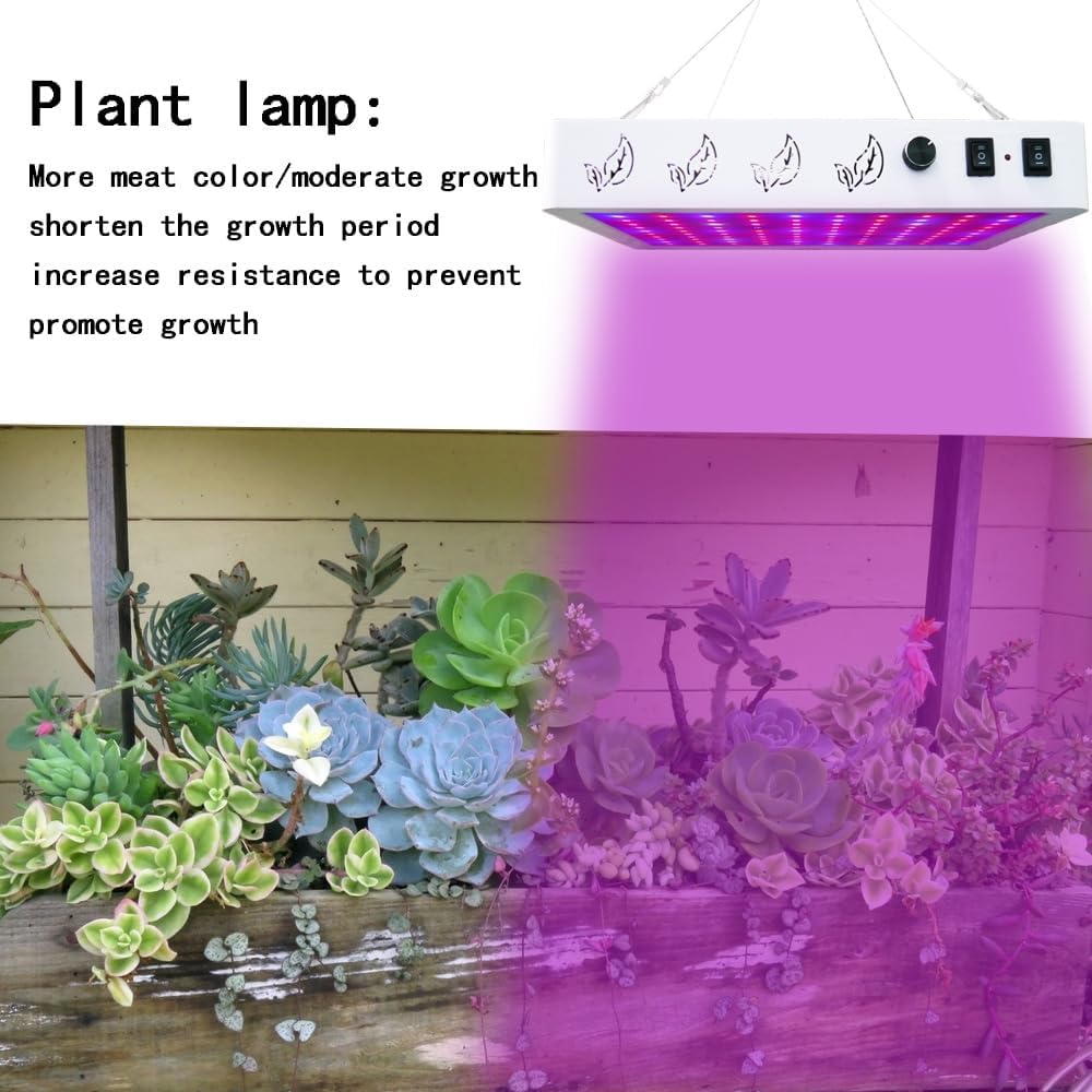 2026 Upgraded 1000W(HPS) Equivalent LED Grow Light, Full Spectrum for Indoor Seedling & Bloom, Dimmable Plant Light with Auto 24H Timer, High PPFD Energy Saving Solution.