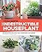 Indestructible Houseplant: 200 Beautiful Plants That Everyone Can Grow