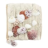 deko muscheln kaufen hamburg WANDDEKORATION: Das Fischernetz ist eine tolle Wanddeko für Privatwohnungen, Ferienhäuser, Hotels, Restaurants und Cafés am Meer!