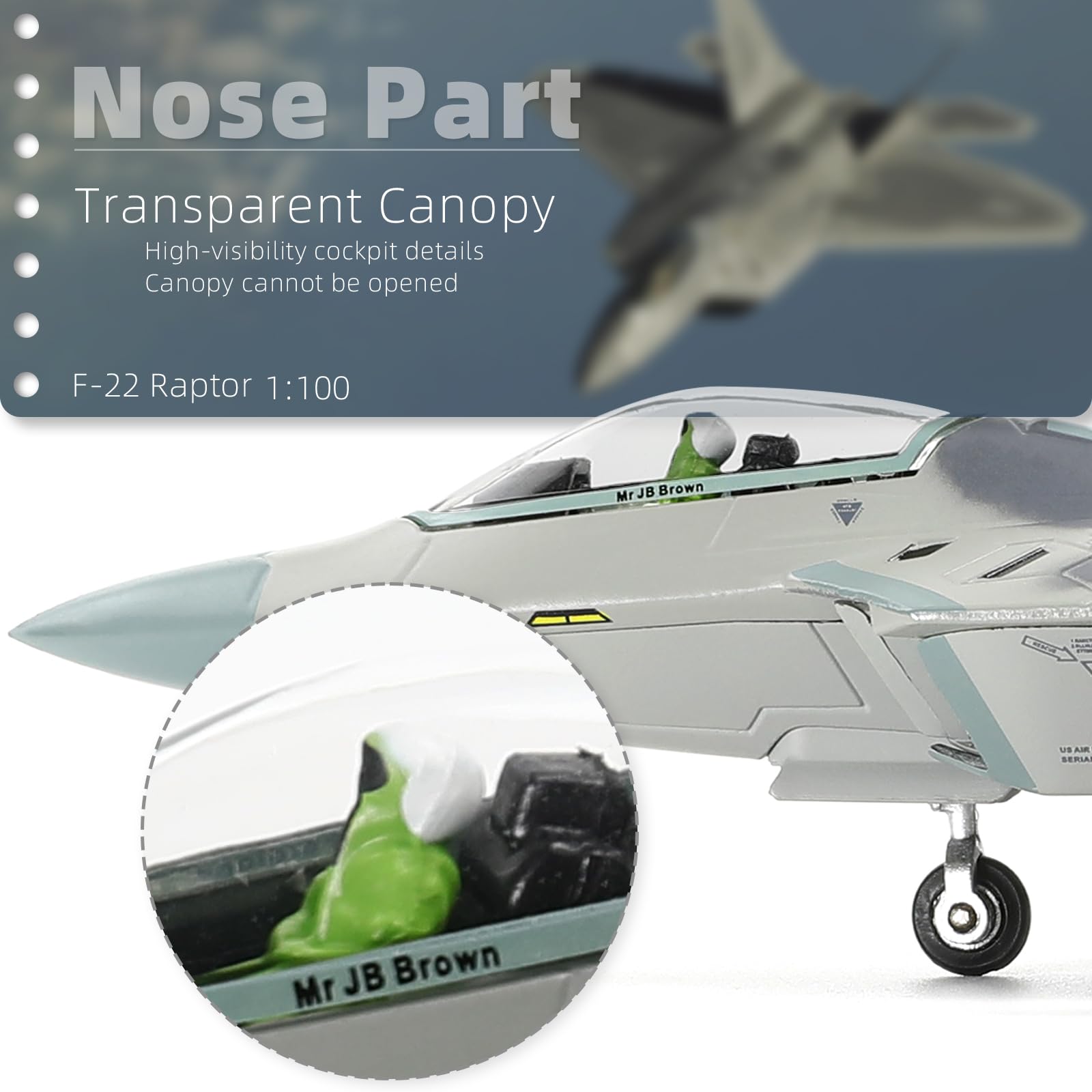 NUOTIE F22 Raptor Maßstab 1/100 Druckguss-Metall-Kampfflugzeug, Stealth-Kampfflugzeug, Luftwaffe, Flugzeugmodell mit Ständer, für Militärsammlungen oder Geschenk (HO 49th FW)