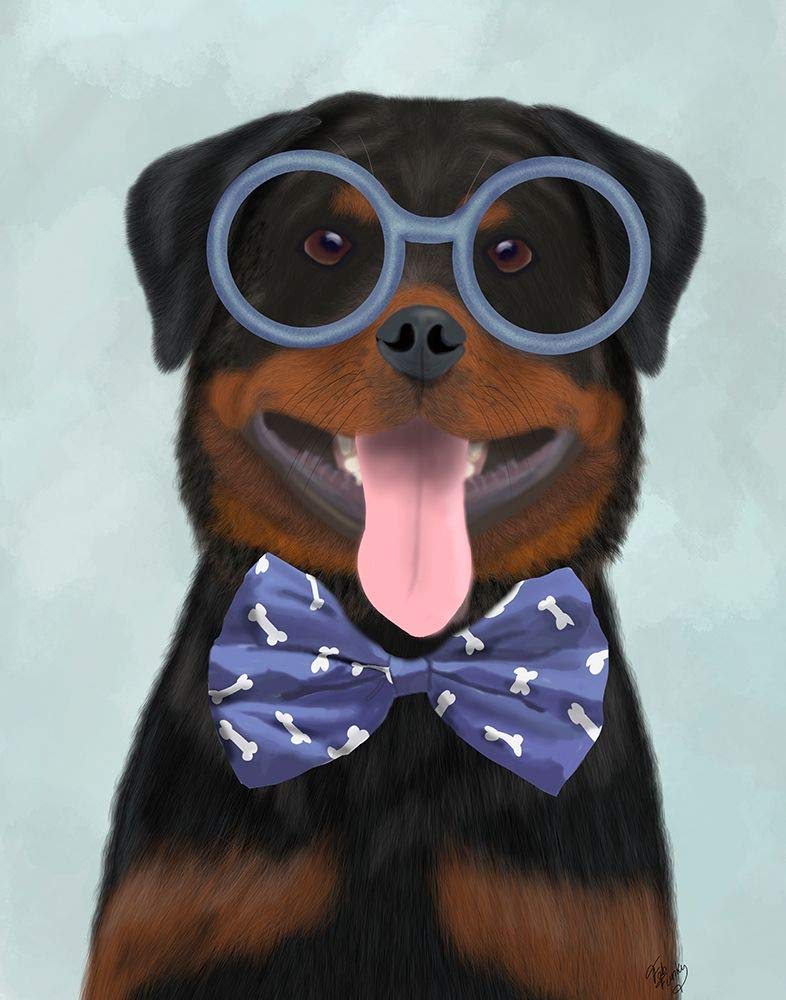 Rottweiler z okularami i muszką nadruk plakatu - Funky Fab (24 x 36)