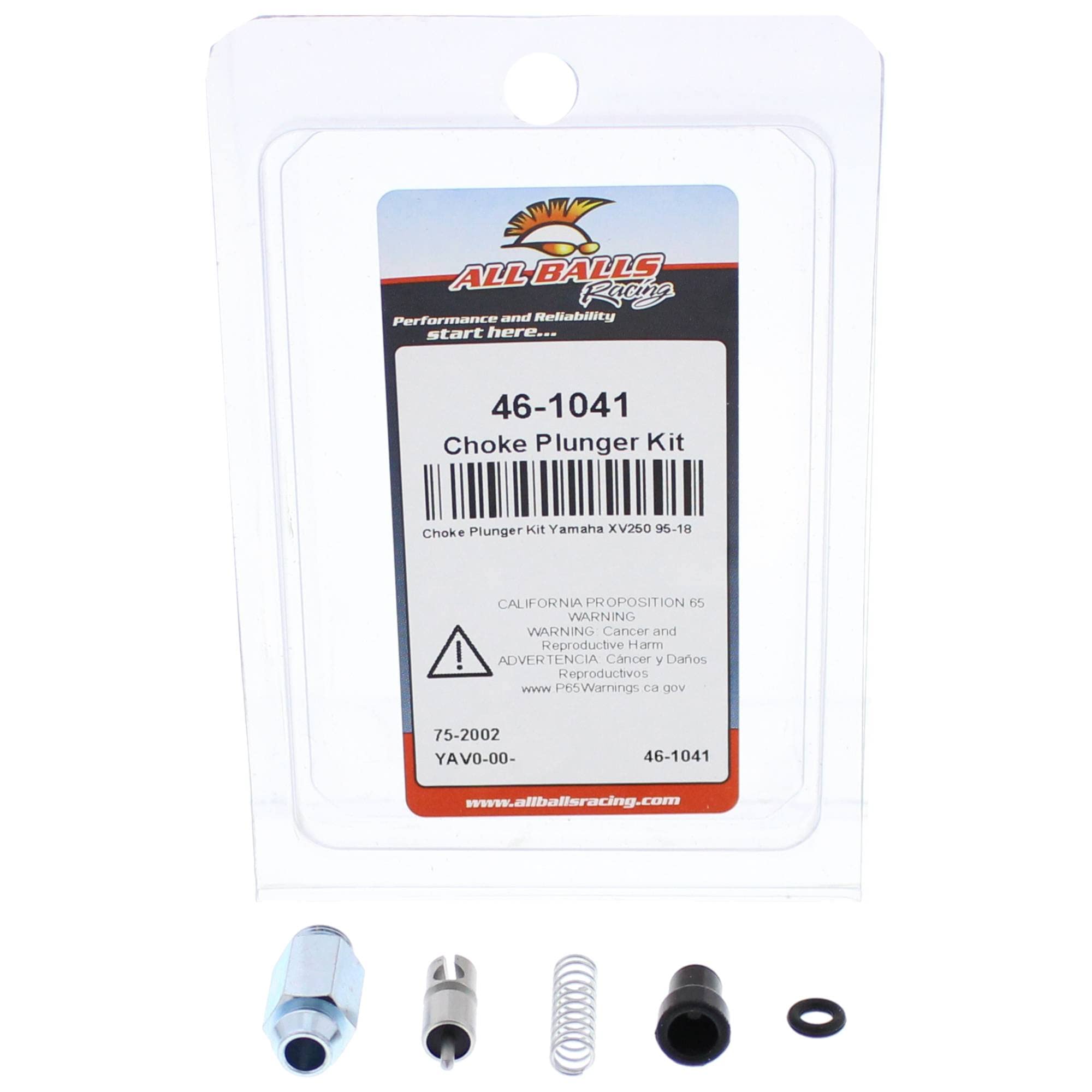 Amazon.com: All Balls Choke Plunger Kit 46-1041 Compatible With