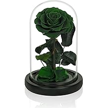 NATROSES Handmade Preserved Roses in Glass Dome, Green Roses, Preserved Flowers Gifts for Women, Mothers Day Flowers