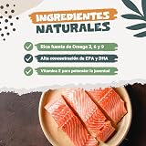 Ver la foto 8