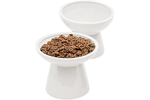 2 Extra Wide Raised Cat Food Bowl, No More Whisker Fatigue