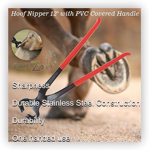Miniatura 5 de Pinza profesional de pezuñas de 12 pulgadas con mango cubierto de PVC, herramienta de alta calidad para recortar pezuñas precisas, dar forma y