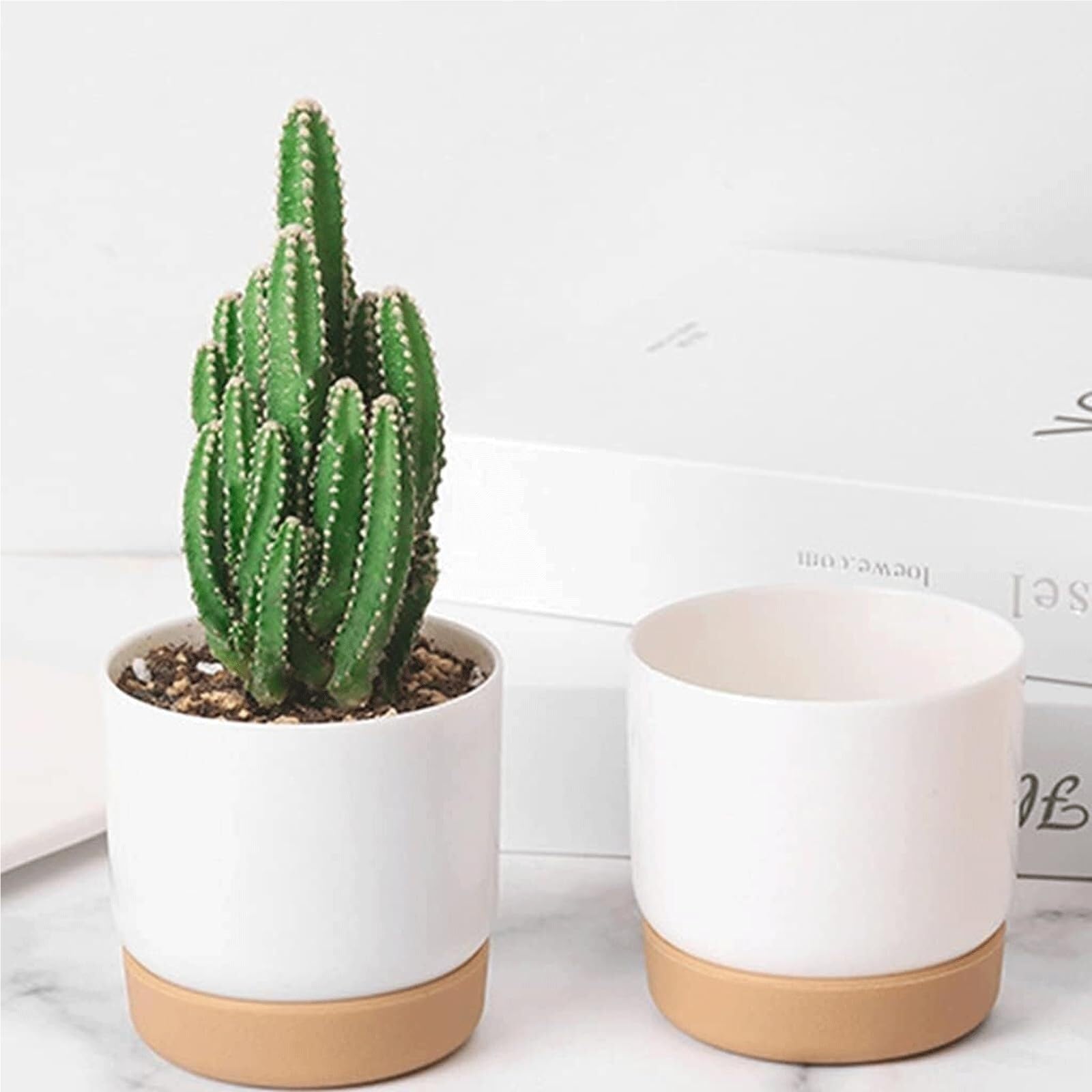 Jardinières décoratives Lot de 2 Pots Fleurs à arrosage Automatique, en Plastique Les indispensables du Jardin(#L)