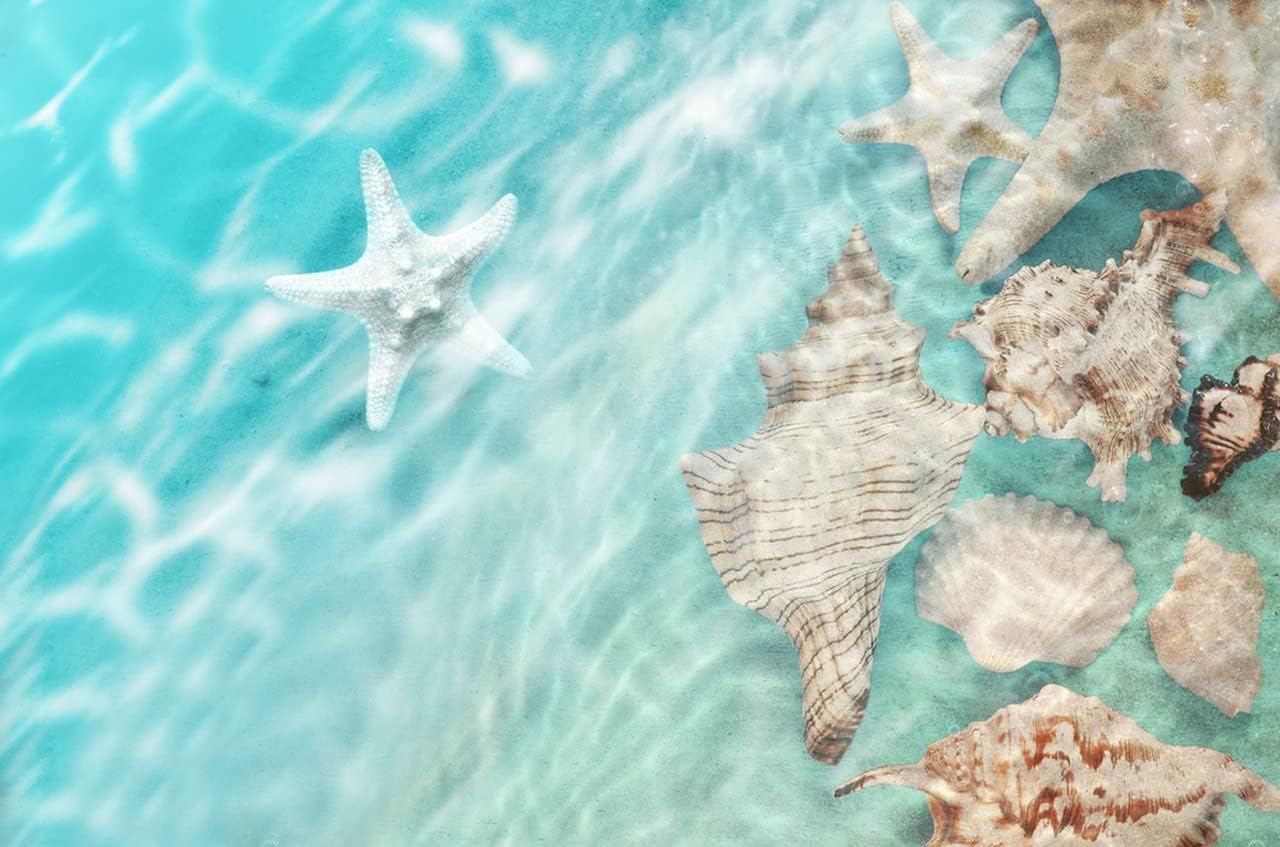 Teal Ocean Beach Theme Shell and Starfish Area Rug for Bedroom Playroom Living Room Washable Soft Funky Cute Dining Room Carpet Indoor No-Slip Hallway Kitchen Bathroom Rug 2x6