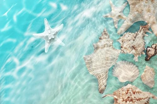 Miniatura 2 de Alfombra de área con diseño de playa y estrellas de mar para dormitorio, sala de juegos, sala de estar, lavable, suave y bonita, alfombra de comedor